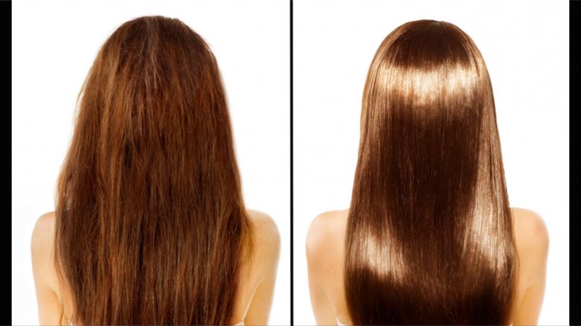 Hair Care Conditioner Greasy Shampoo - Human Color Transparent PNG