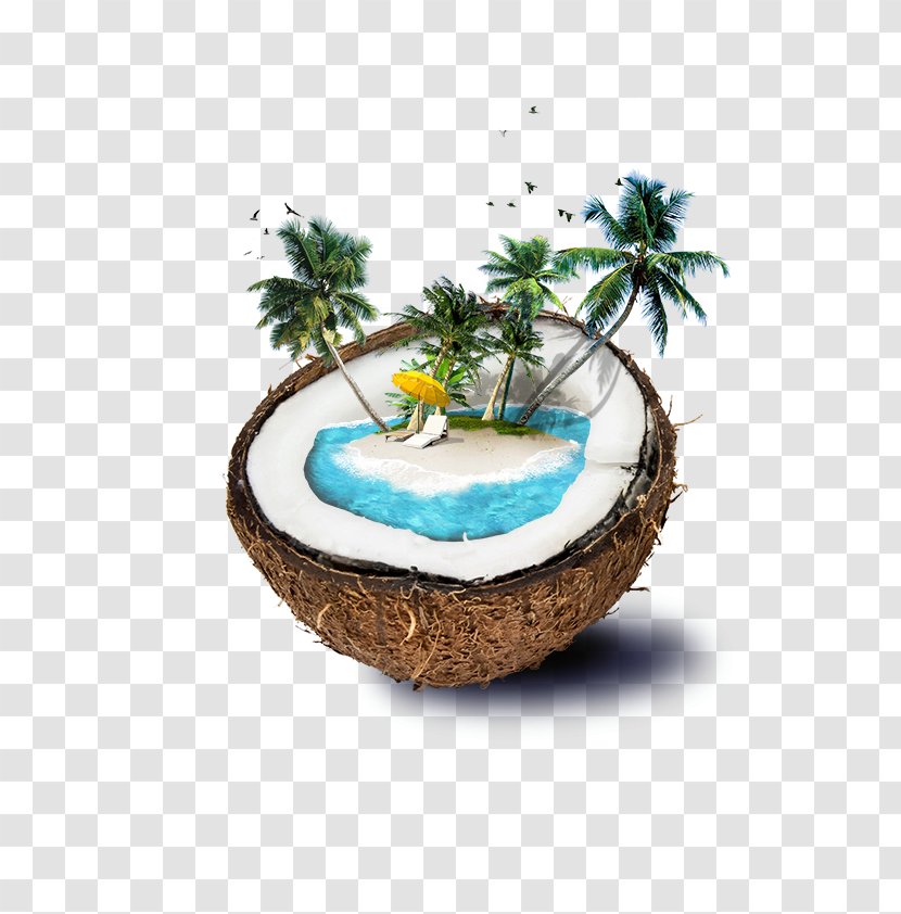 Fiji Coconut Water Beach Island Transparent PNG