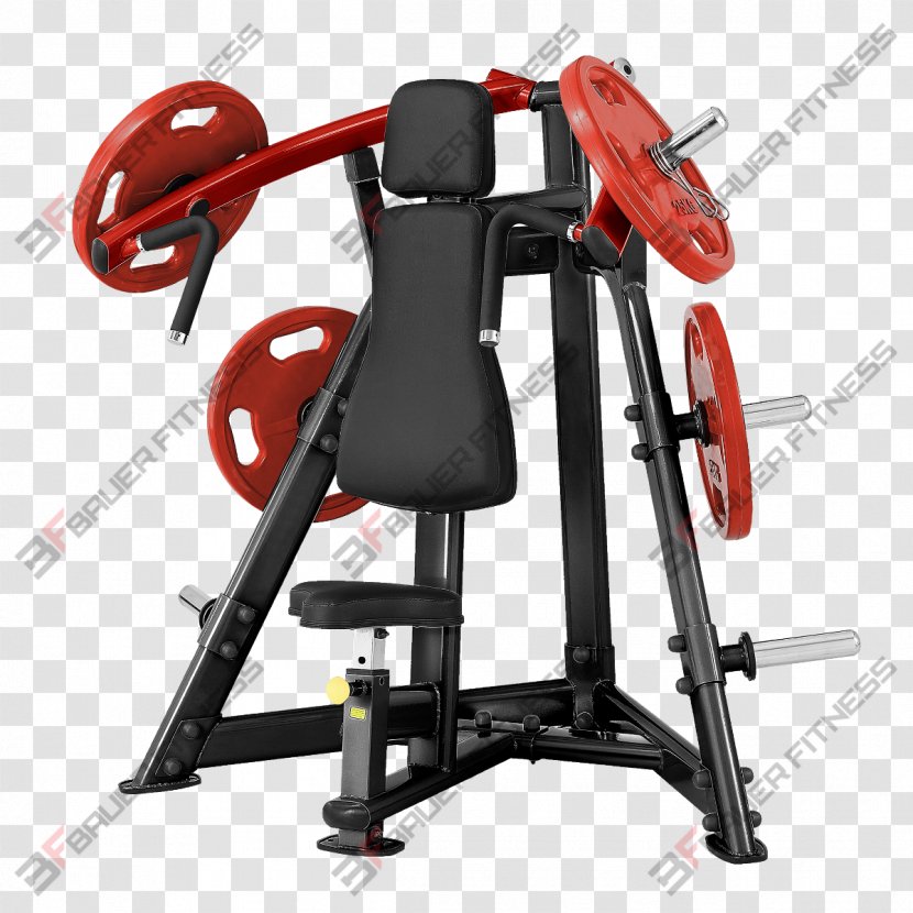 Fitness Centre Physical Bench Row Strength Training - Biceps Curl Transparent PNG