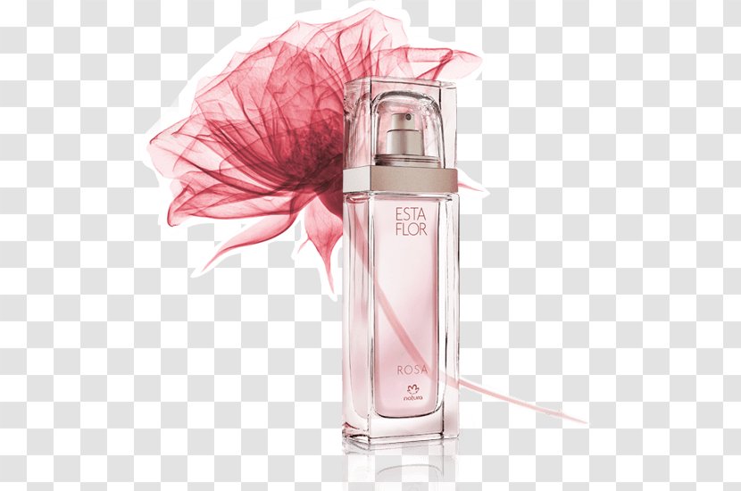 Perfumer Rose Natura &Co Flower - Deodorant - Perfume Transparent PNG