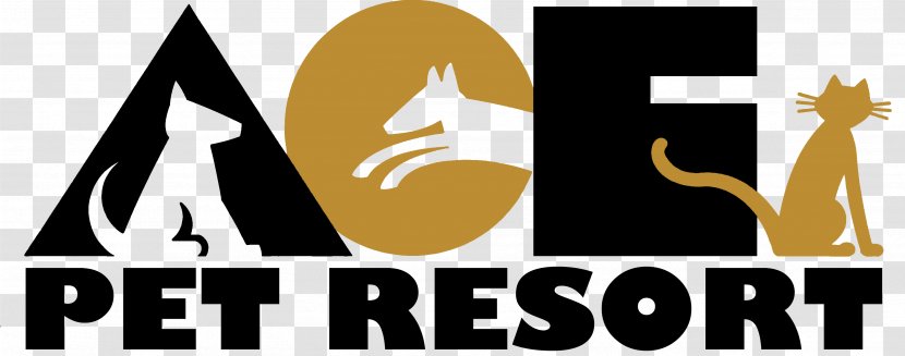 Dog Daycare Pet Sitting Ace Resort Transparent PNG