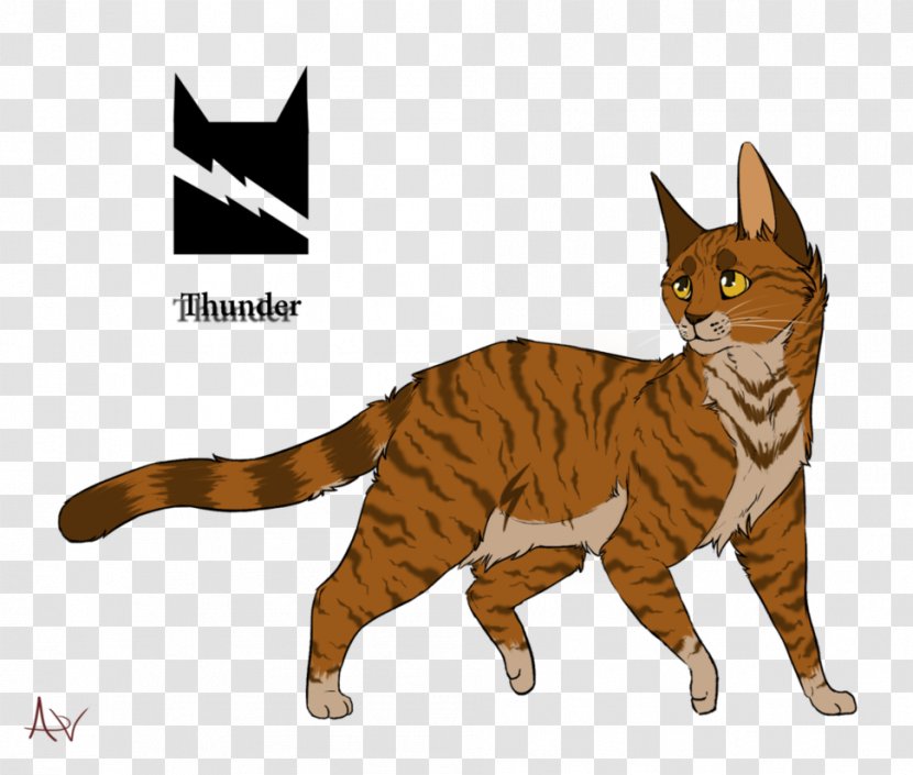 Toyger Manx Cat California Spangled Whiskers Kitten - Tabby - THUNDER CATS Transparent PNG