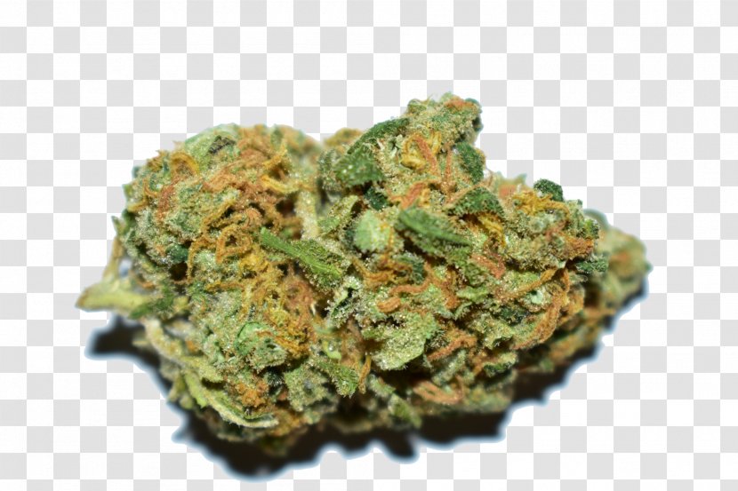 Cannabis Sativa Organa Wellness Centre Marijuana Hash Oil - Supernova - Indica Weed Nuggets Transparent PNG