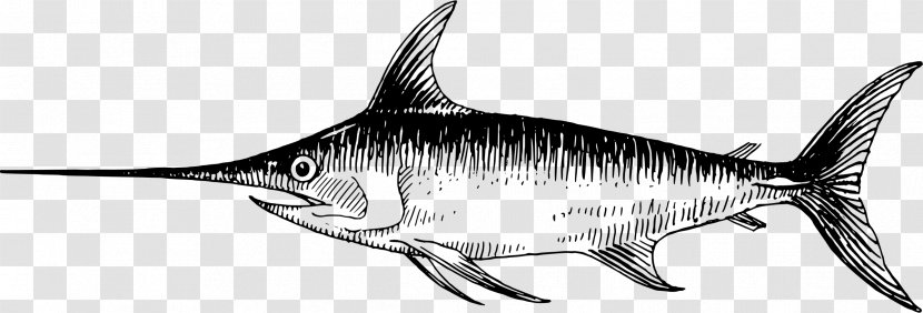 Swordfish Drawing Sketch - Fish Transparent PNG