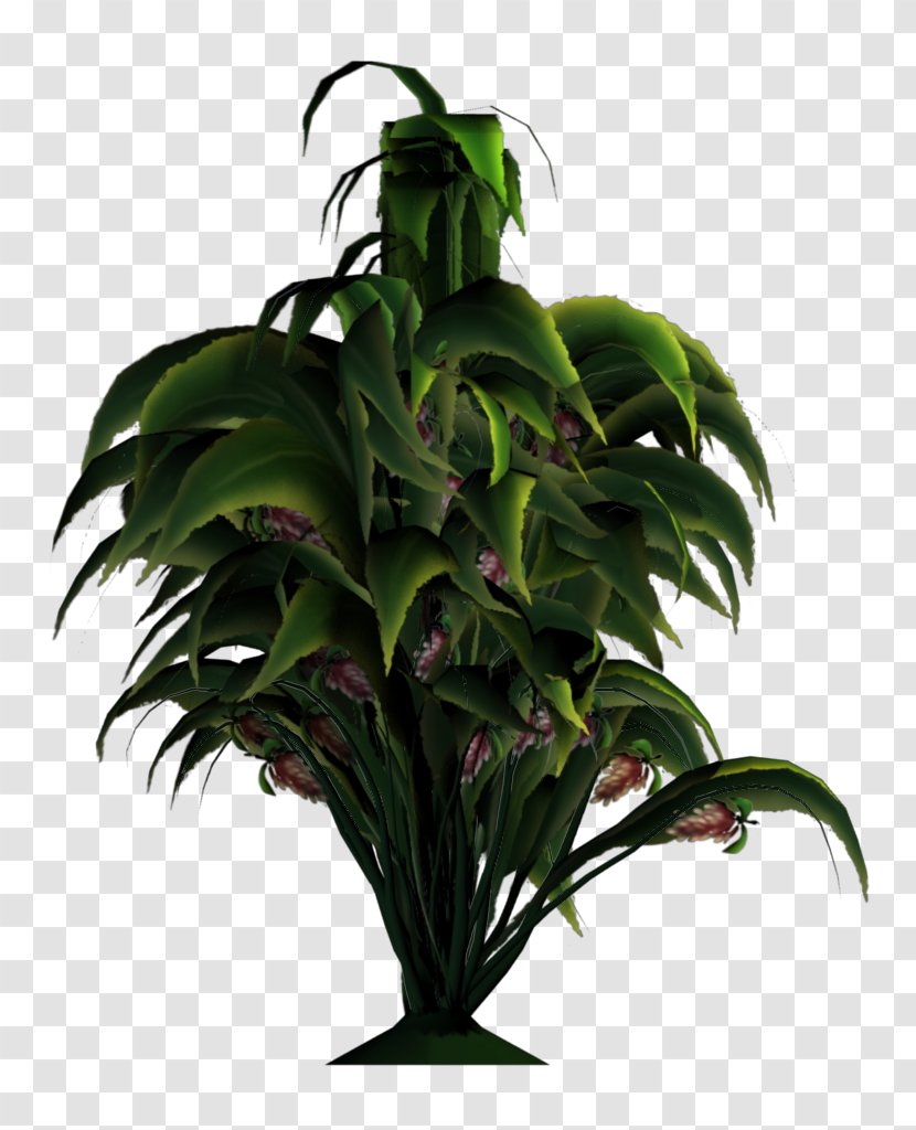 Houseplant Flowerpot Garden - Conifers - Tropical Flowers Transparent PNG