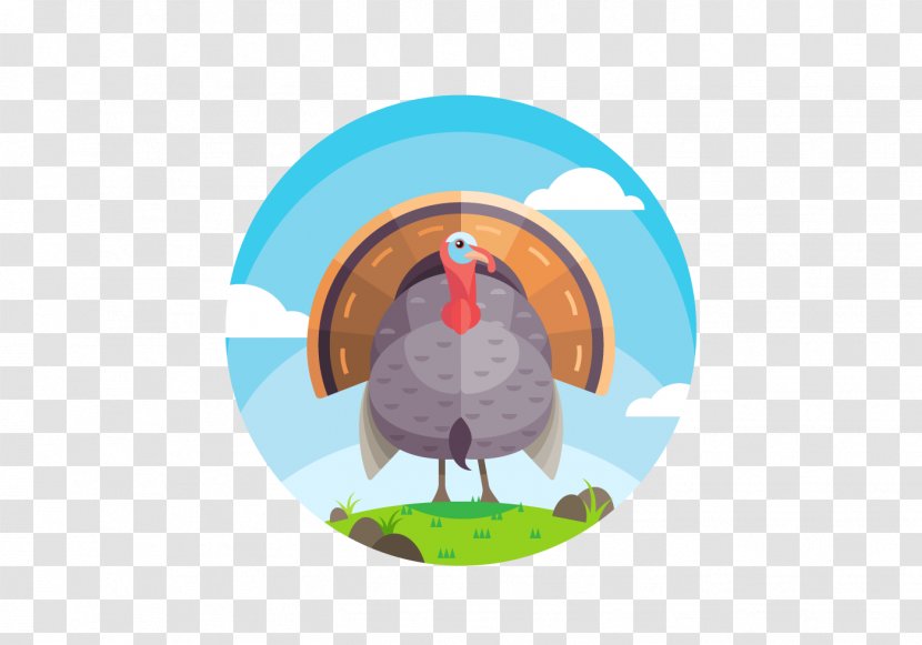 Turkey Vector Map - Domesticated - Thanksgiving Transparent PNG