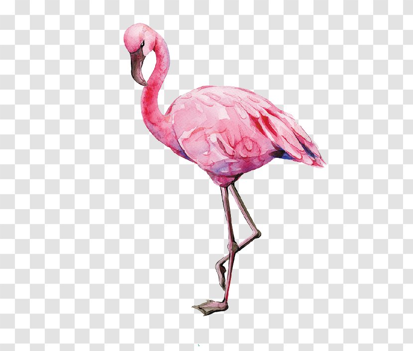 Flamingo Bird Watercolor Painting Illustration Image - Neck Transparent PNG