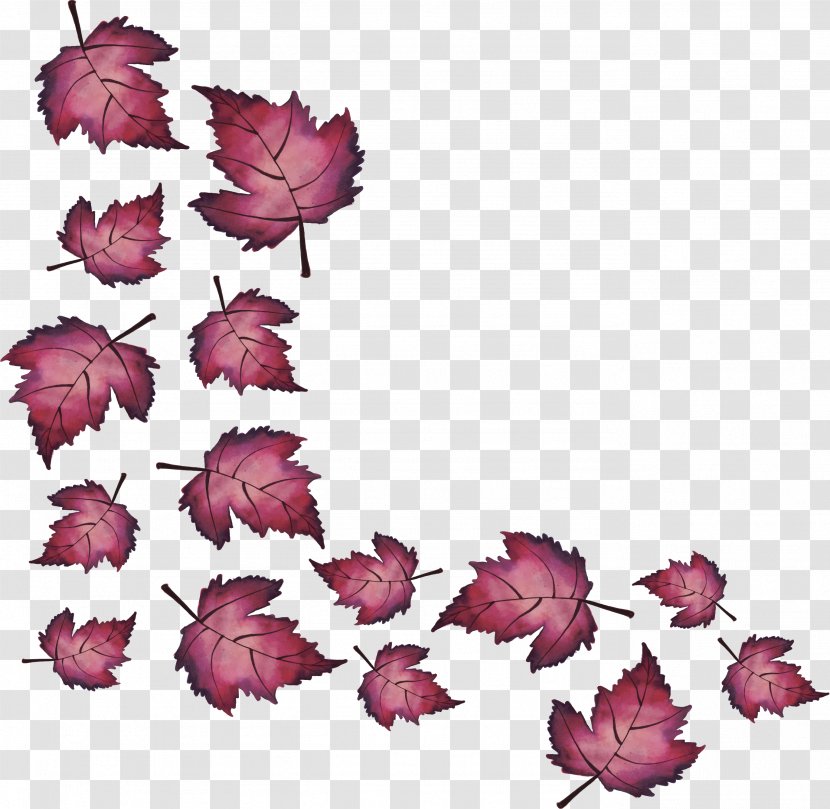 Maple Leaf Green - Rose Family - The Wine Falls To Transparent PNG