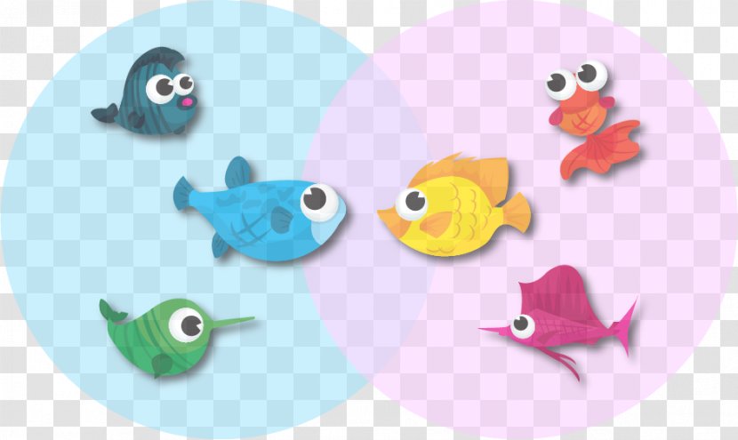 Fish Aqua Turquoise Transparent PNG