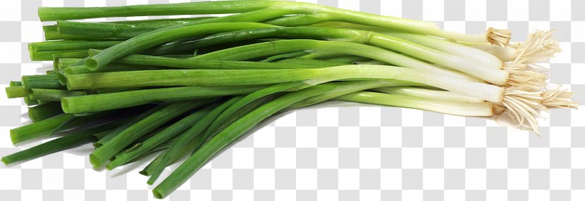 Cong You Bing Scallion Onion Vegetarian Cuisine Vegetable - Garlic - Green File Transparent PNG