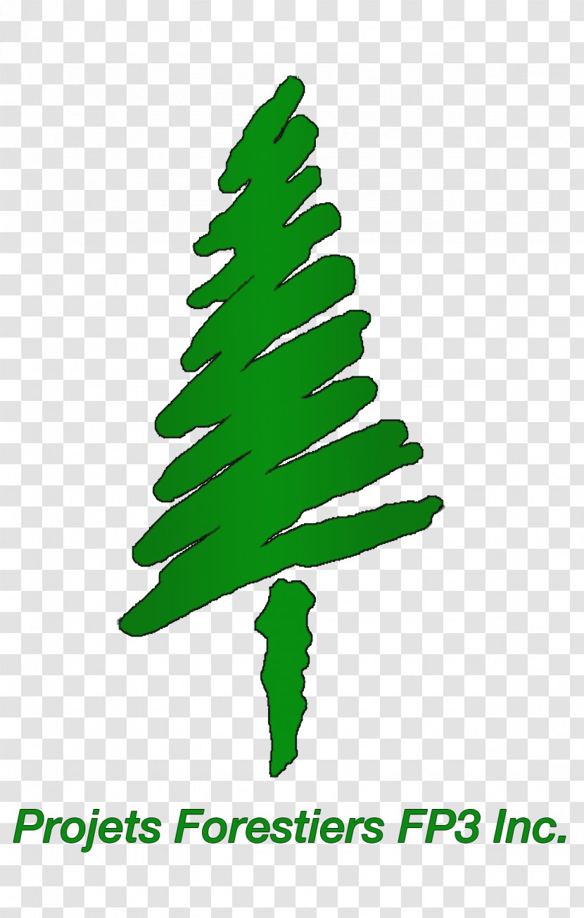 Spruce Forest Christmas Tree Clip Art Plant Stem - Conifer Transparent PNG