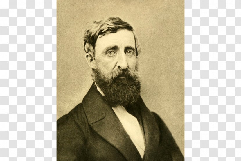 Henry David Thoreau Civil Disobedience Walden Essay - Flower - Book Transparent PNG