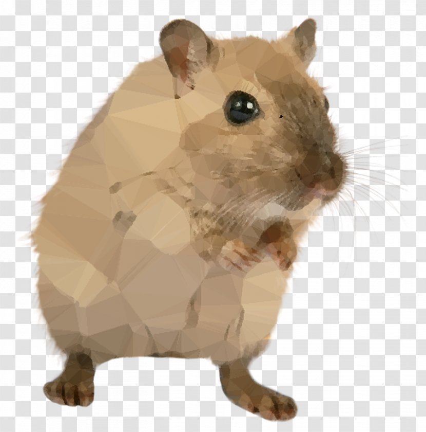 Brown Rat Rodent Mus Clip Art - Guinea Pig - Muroids Transparent PNG