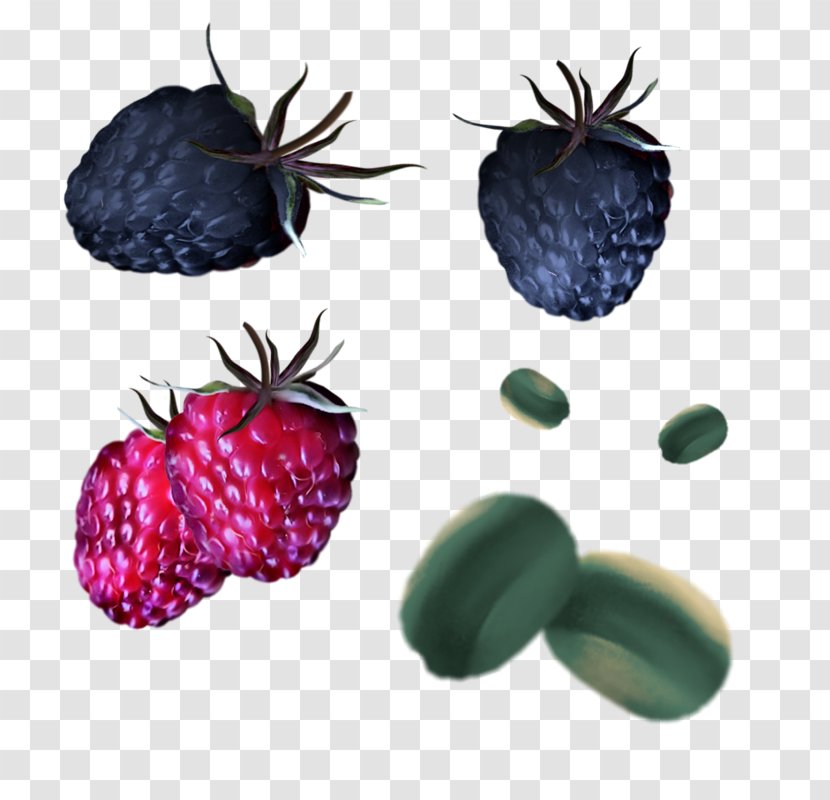 Pineapple Cartoon - Food - Bromeliaceae Blackberry Transparent PNG