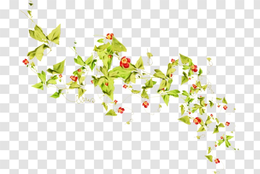 Floral Design - Leaf - Pedicel Transparent PNG