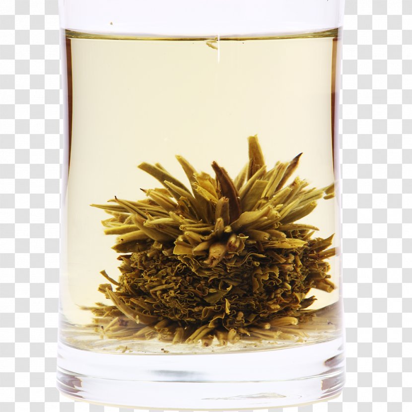 Earl Grey Tea Plant - Dianhong - Oolong Transparent PNG