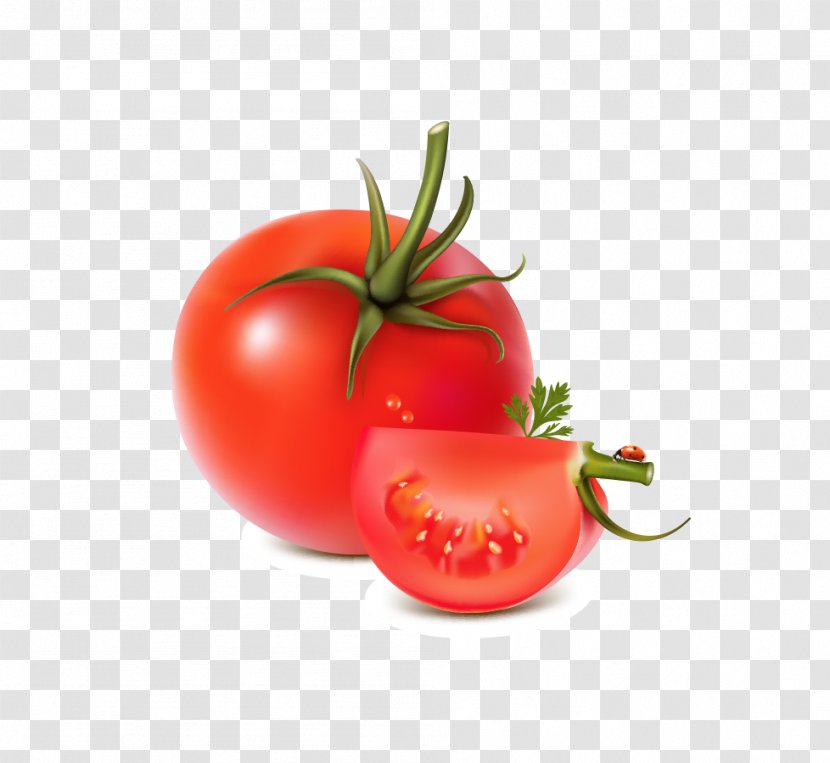 Vegetable Fruit Tomato Transparent PNG