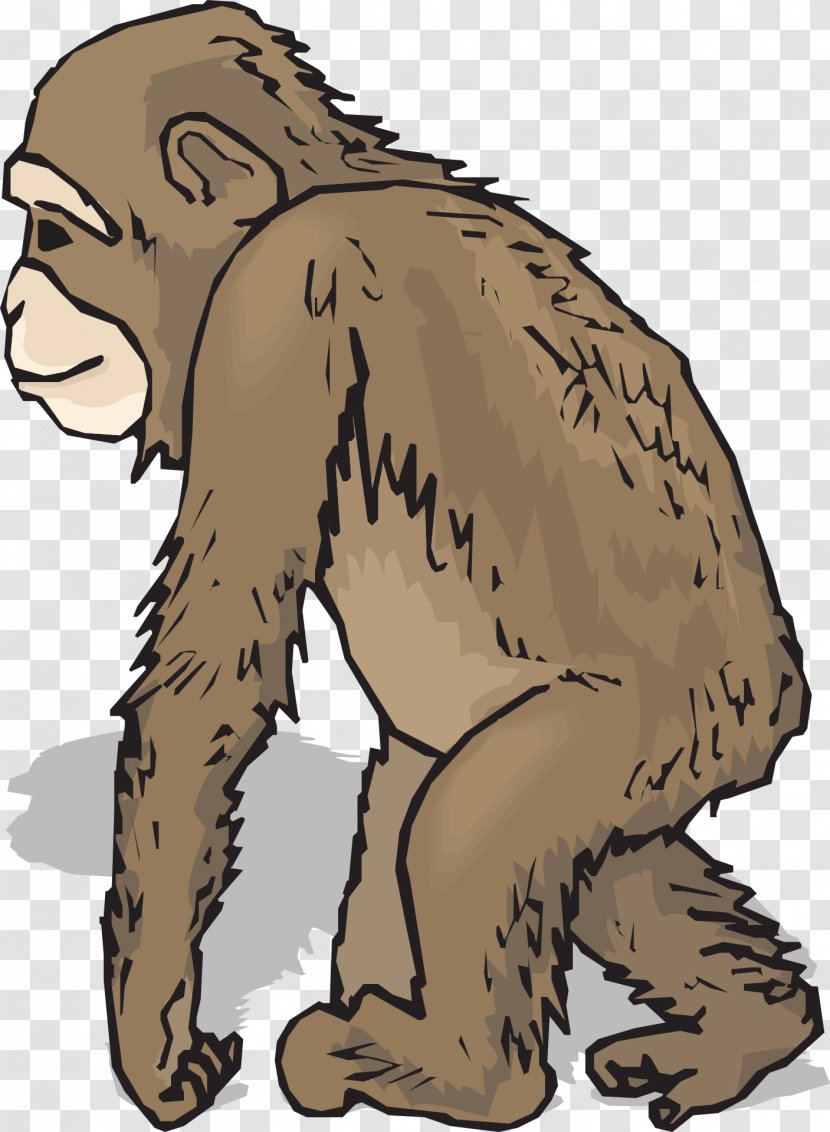 Baby Chimpanzee Free Content Clip Art - Organism - Animals Word Cliparts Transparent PNG
