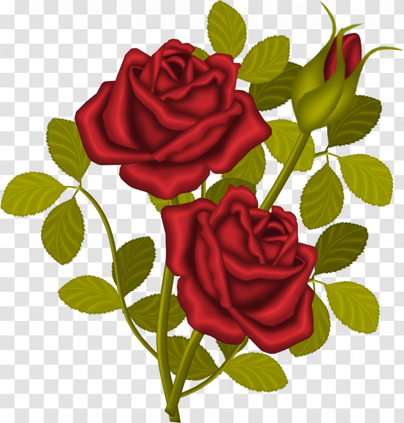 Clip Art Rose Free Content Image - Floristry - Gonca Transparent PNG