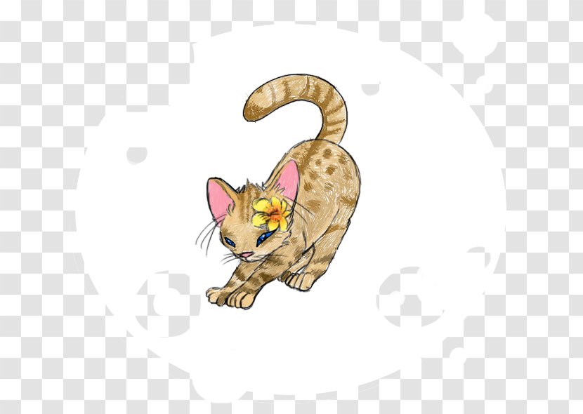 Whiskers Cat Paw Cartoon Tail - Mammal - Stretched A Transparent PNG