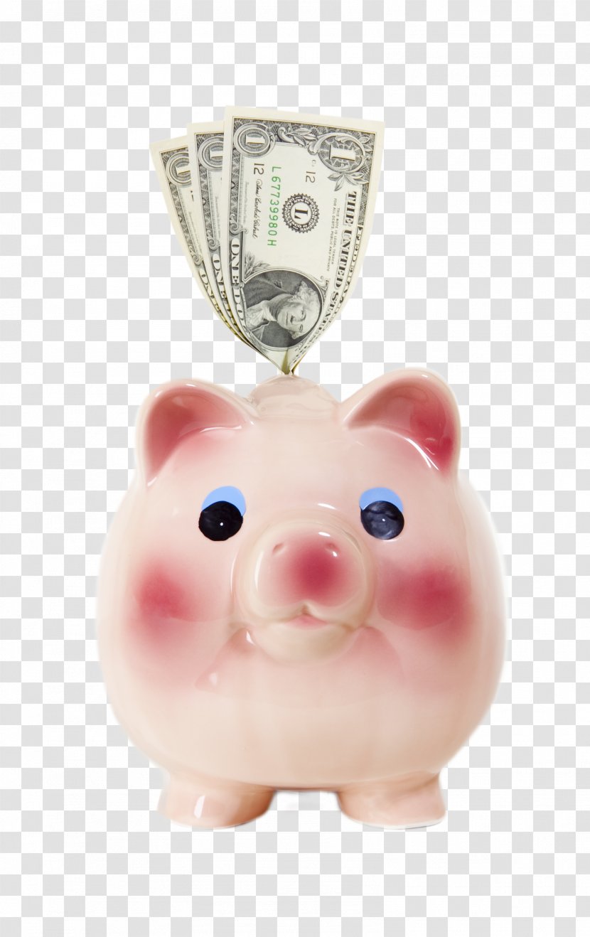 Counterfeit Money Piggy Bank - French Transparent PNG
