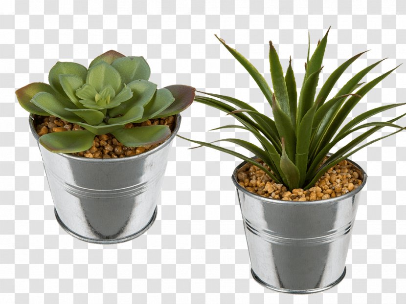 Succulent Plant Flowerpot Ceramic Glass - Jar Transparent PNG