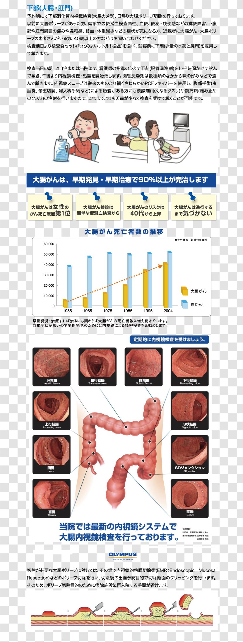Chigasaki Endoscopy Internal Medicine Gastroenterology Shoe - Equipment Transparent PNG