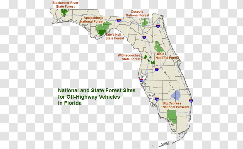 Apalachicola National Forest Chattahoochee-Oconee Hillsborough River State Park Map United States - Plant Transparent PNG