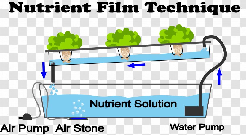 Nutrient Film Technique Hydroponics Hydroponic Gardening Aquaponics - Material - Grow Box Vegetables Transparent PNG