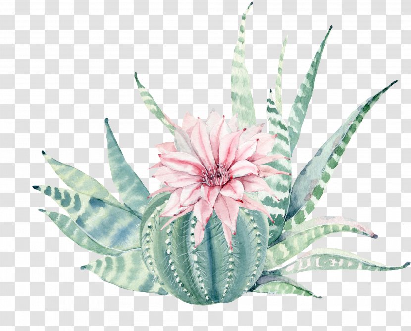 Succulent Plant Painting Canvas Print Cactaceae - Printmaking - Hand Painted Watercolor, Pink Flowers, Green Plants Transparent PNG