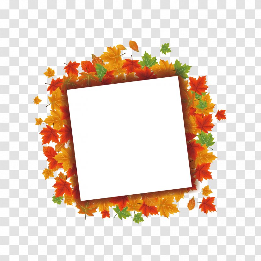 Maple Leaf Euclidean Vector Autumn - Square Border Transparent PNG