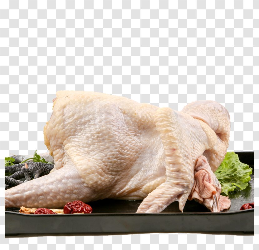 Chicken Meat Gratis Food - Snout - A Plucked Transparent PNG