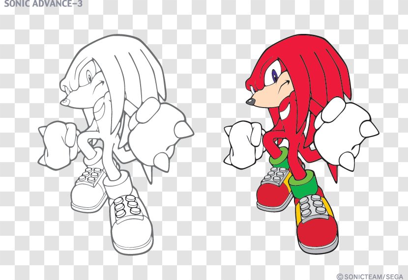 Sonic & Knuckles The Echidna Hedgehog Chaos Rouge Bat - Flower - Ta Anit Esther Transparent PNG