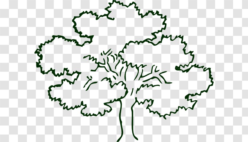 Tree Oak Outline Clip Art - Leaf - Dogwood Drawing Transparent PNG