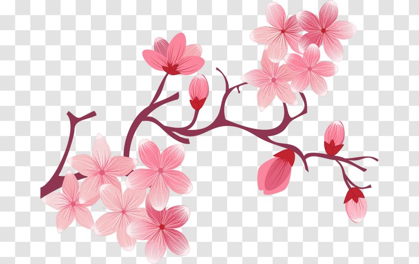 National Cherry Blossom Festival Flower - Floral Design Transparent PNG