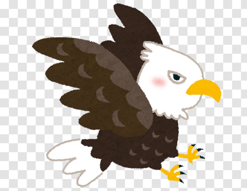 Bald Eagle いらすとや Nest - Bird - Of Prey Transparent PNG