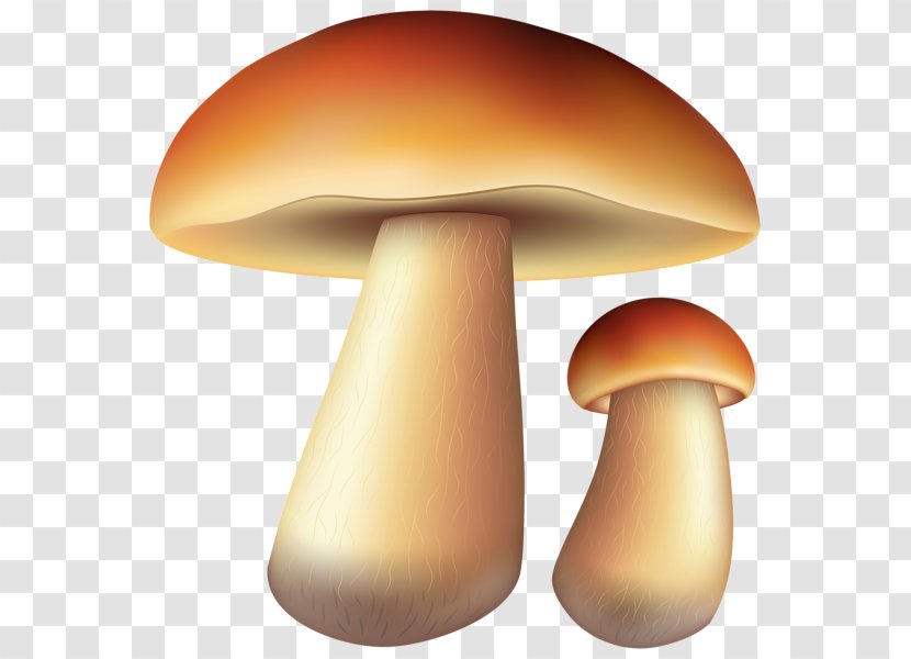 Common Mushroom Edible Clip Art - Pleurotus Eryngii Transparent PNG