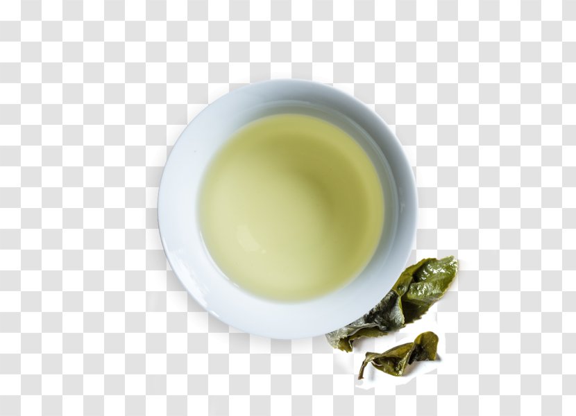 Sencha Oolong Hōjicha Tea Gyokuro - Green Transparent PNG