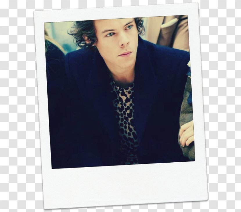Harry Styles One Direction Celebrity Image Burberry - Frame Transparent PNG