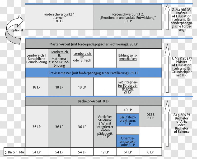 Document Line Point Angle Organization Transparent PNG