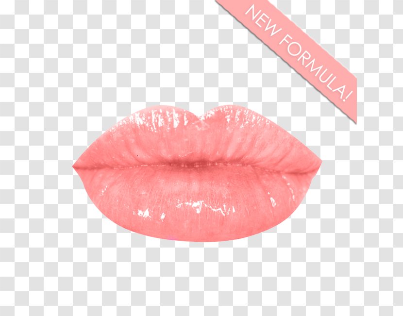 Lip Balm Gloss Sunscreen Lipstick - Rouge Transparent PNG