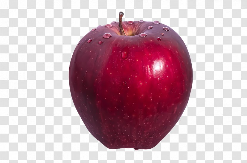 Fruit Apple Red Plant Purple - Tree - Mcintosh Transparent PNG