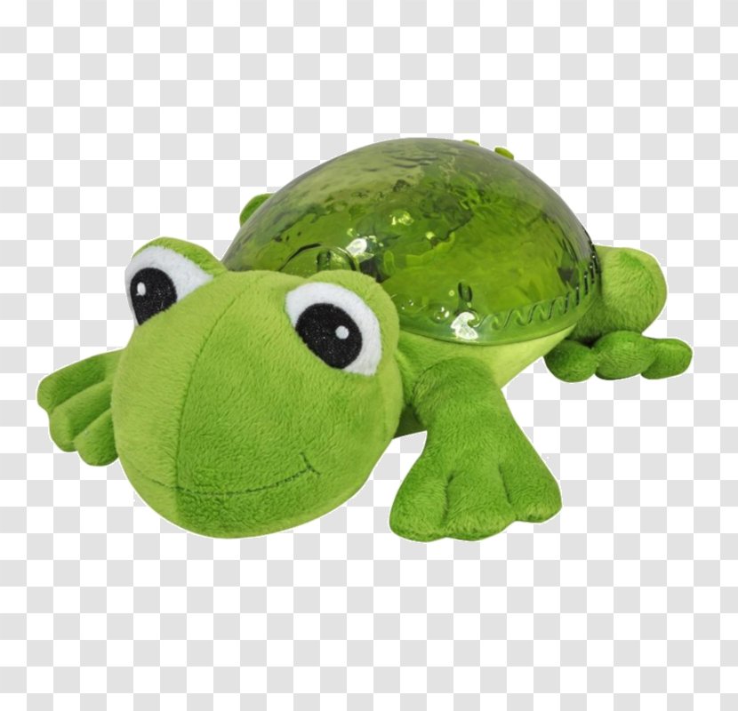 Frog Amazon.com Turtle Child Light - Reptile - Tranquil Transparent PNG