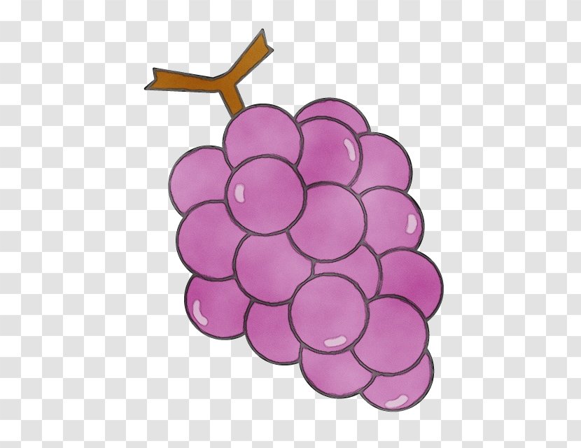 Grape Grapevine Family Purple Violet Vitis - Paint - Hydrangea Plant Transparent PNG