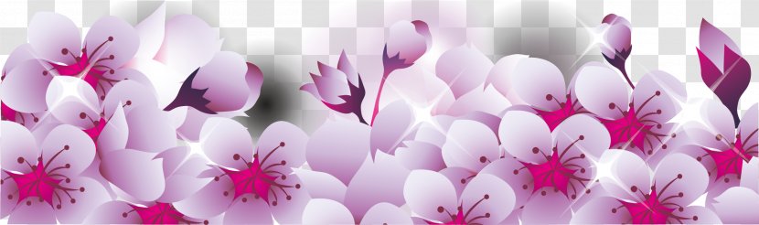 National Cherry Blossom Festival - Flower - Border Shading Transparent PNG