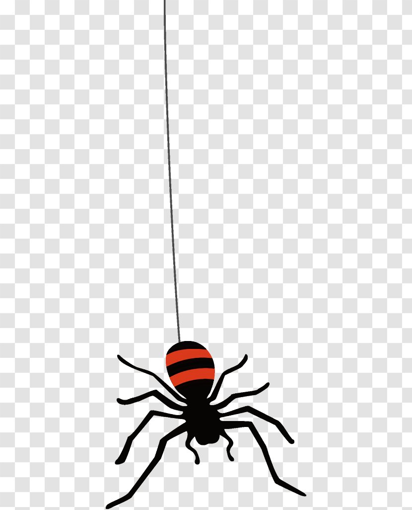 Spider Halloween - Pest Insect Transparent PNG