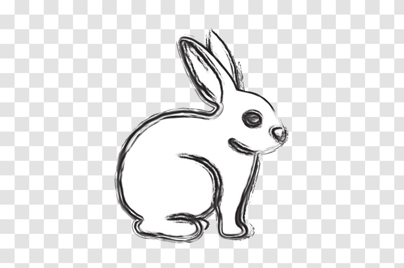 Rabbit Rabbits And Hares Line Art Hare Tail Transparent PNG