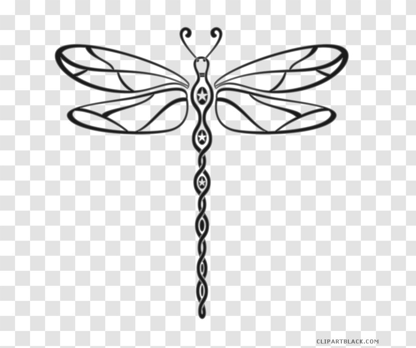 Insect A Dragonfly? Clip Art Drawing - Membrane Winged Transparent PNG