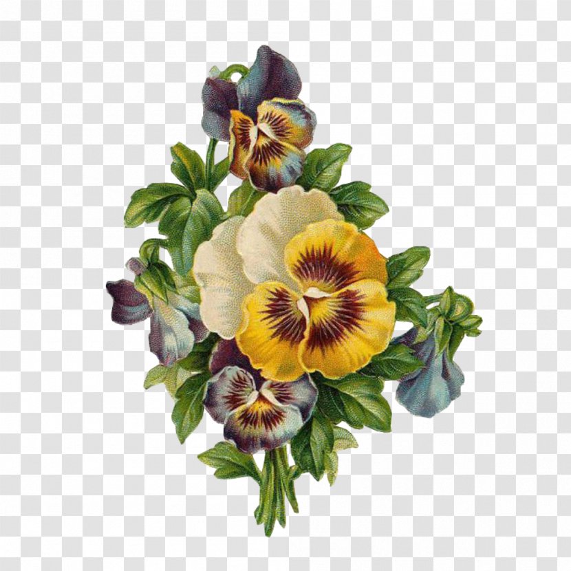 Bouquet Of Flowers Drawing - Viola - Dendrobium Transparent PNG
