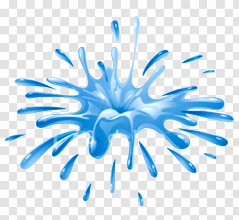 Drop Water Drawing Splash - Organism - Liquid Transparent PNG